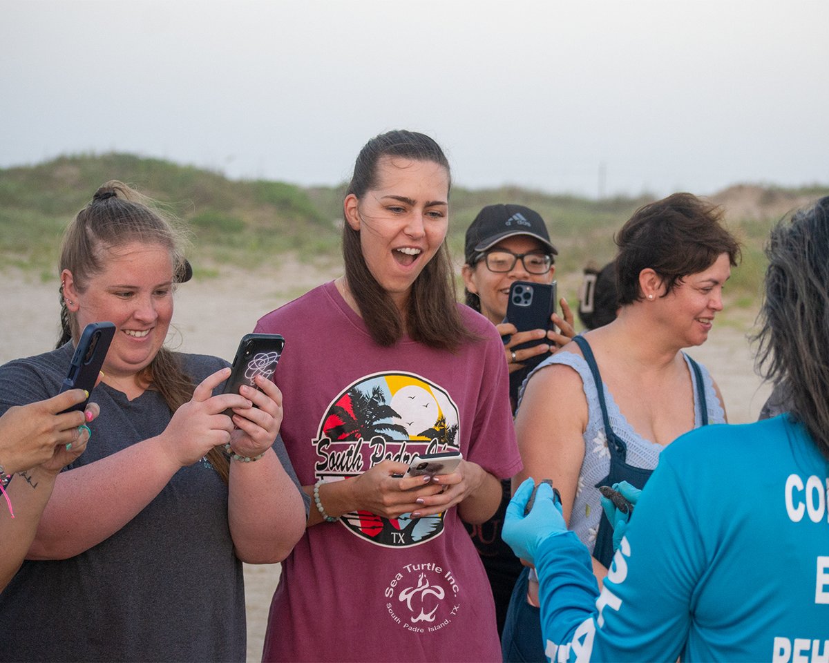 SeaTurtleInc's tweet photo. What a wonderful morning! Two releases in one day with a total of 517 baby sea turtles released into the wild. We are so happy for these little ones!
✨For more info visit https://t.co/orCL0LvSwK
#seaturtleinc #southpadreisland https://t.co/8fLNYymPZT