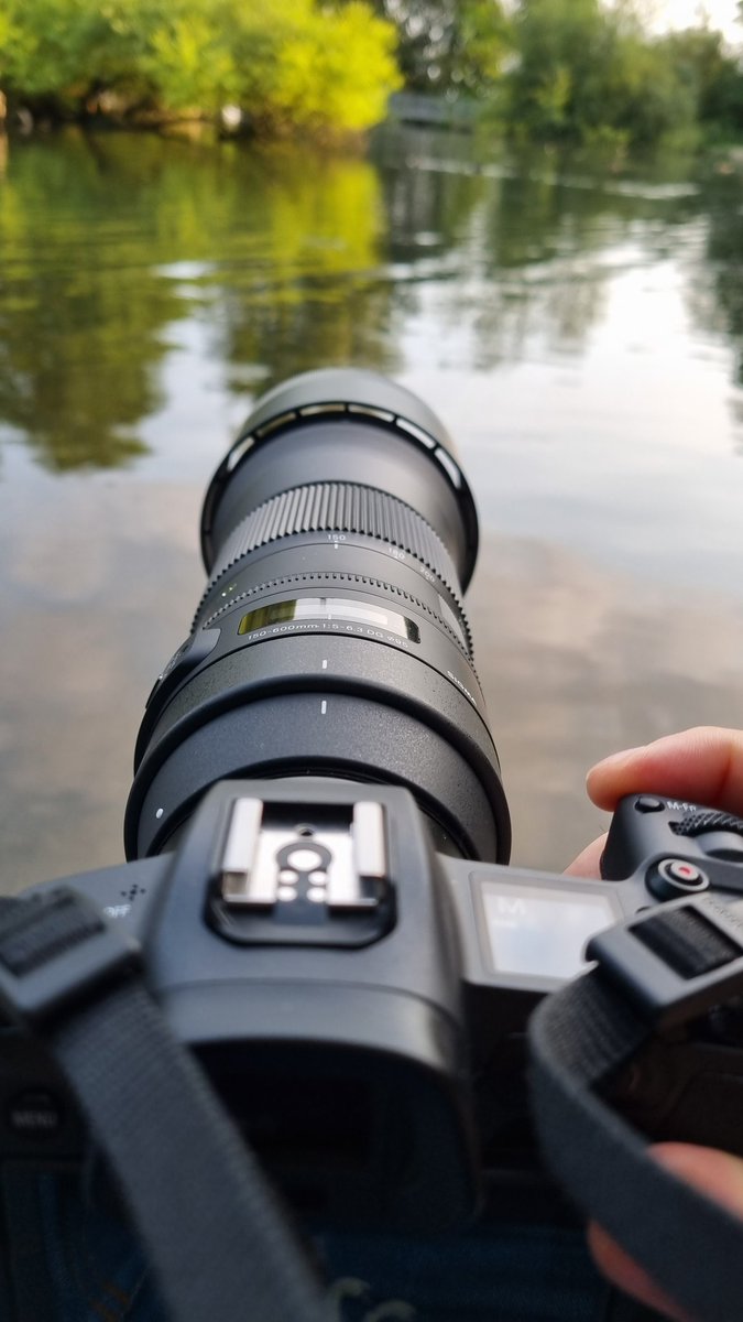 Massoud2121's tweet image. Had a nice couple of hours up at my local lake 🙂

#parkhalllake #swanphotography #outforawalk #chilltime #photography #photographer #stokeontrent #uk