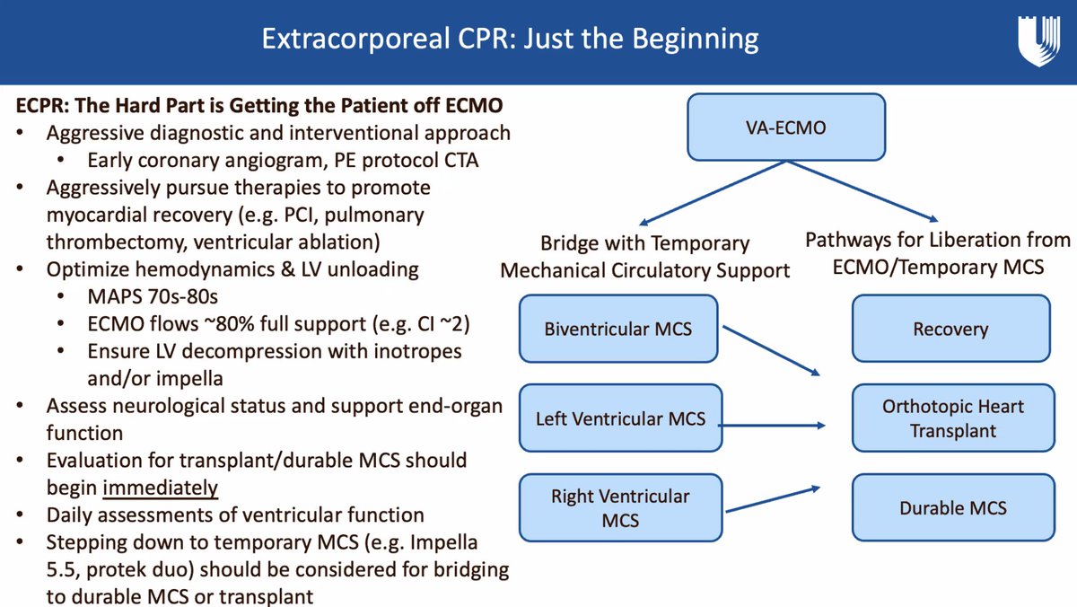 m-velia-antonini-on-twitter-what-is-ecpr-elsoorg-definition