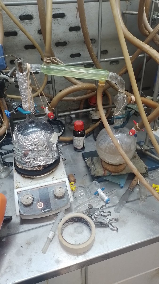 HugoToledoHdz tweet media