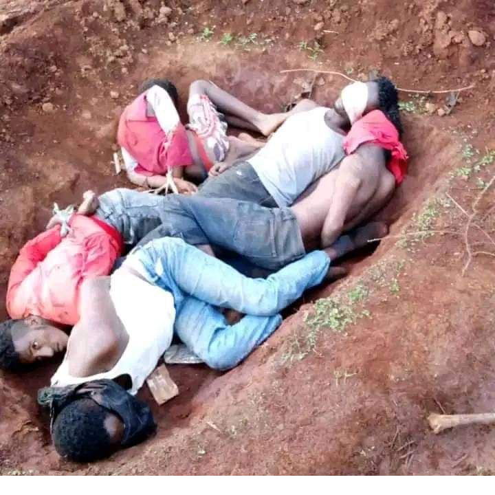ollaaOromo's tweet photo. Sources reported five youth pictured below experienced torture and inhuman treatments after arrested by the government security forces in Qilxu Kara district  #WestWallaga.  According the sources, the victims were detained in  government military camp  on the allegation of having link with OLA. #ethiopia #torture @EthioHRC  @amnestyusa @hrw https://t.co/BbxeqOU0ck