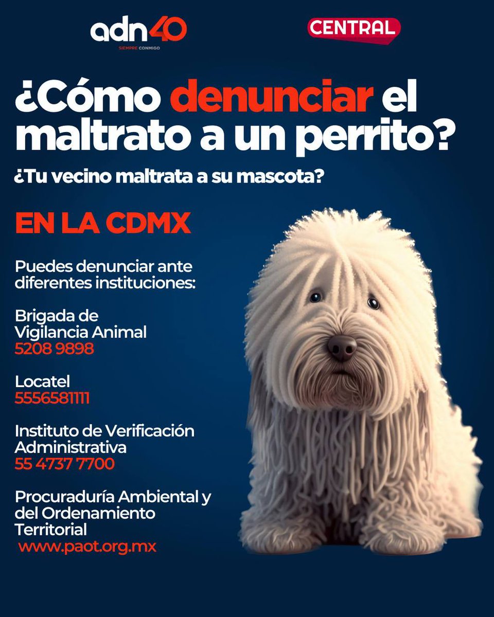 🚨 ¡No te quedes callado ante el maltrato! 🚨 ☎️ Denuncia si observas situaciones abusivas con un perrito, ellos también necesitan tu ayuda 🐶