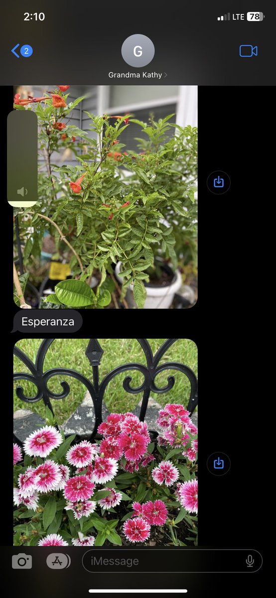 andreahuntern's tweet photo. I texted my grandma that I was having a tough day and she immediately started sending photos of her garden. They’re still coming in. I love her. https://t.co/3NlHk8Q4XA