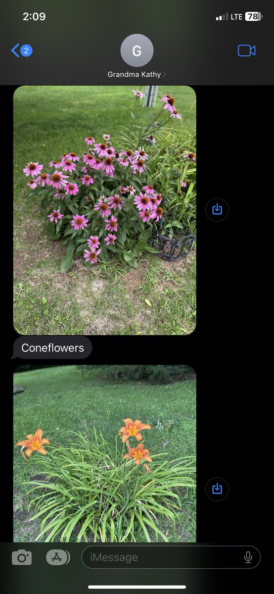 andreahuntern's tweet photo. I texted my grandma that I was having a tough day and she immediately started sending photos of her garden. They’re still coming in. I love her. https://t.co/3NlHk8Q4XA