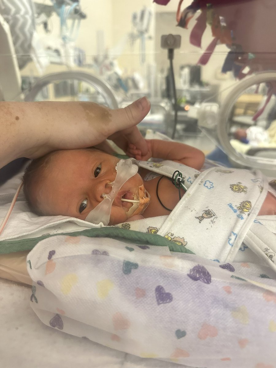 allison_brockey's tweet photo. Having a baby in the NICU may be the hardest thing I’ve ever had to do, but omg I love her so much ❤️ https://t.co/DC54RZq0uw