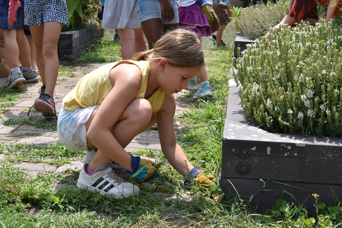 Prior Lake-Savage Area Schools tweet media