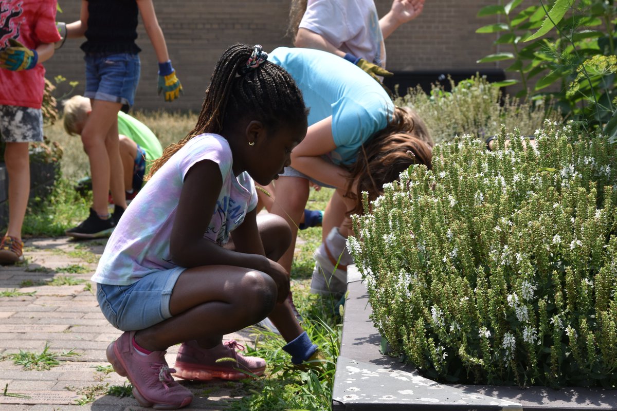 Prior Lake-Savage Area Schools tweet media