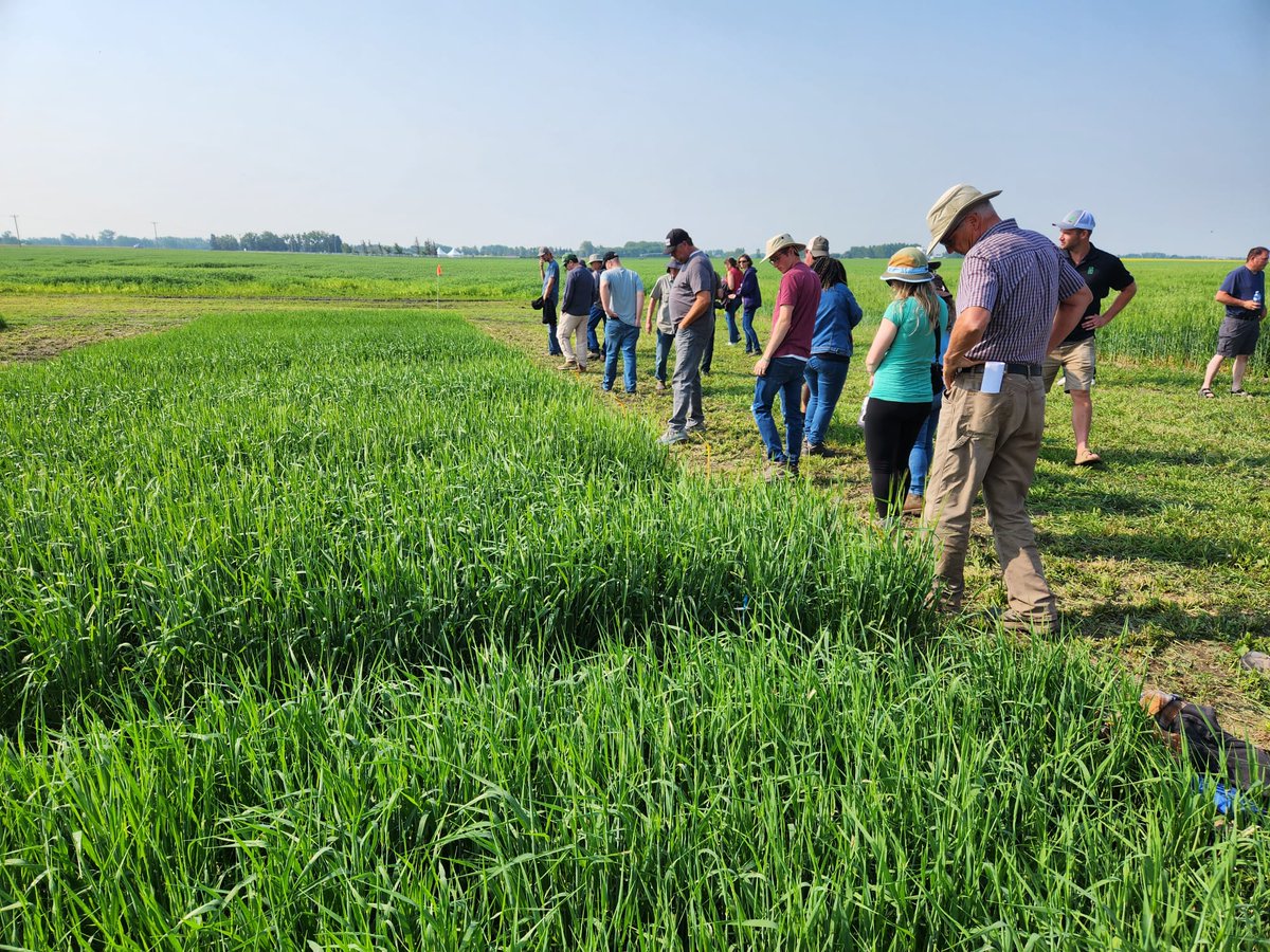 FarmingSmarter's tweet photo. It's been a fantastic start to #PlotHop23 with amazing presentations from @SheriStrydhorst @killerkencoles @GorimLinda @gdhillon34 &amp; @deering_trevor!

We're looking forward to our last presentations this afternoon to close out this great day of field learning! https://t.co/dbnoLkRBQI