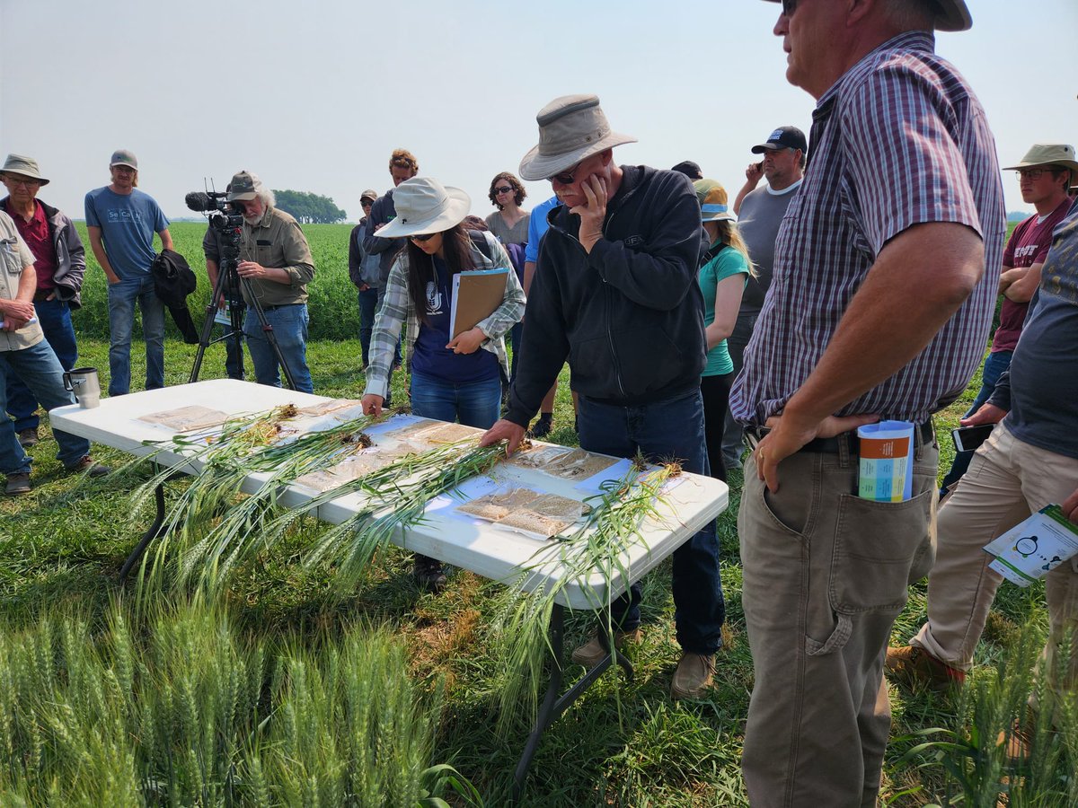 FarmingSmarter's tweet photo. It's been a fantastic start to #PlotHop23 with amazing presentations from @SheriStrydhorst @killerkencoles @GorimLinda @gdhillon34 &amp; @deering_trevor!

We're looking forward to our last presentations this afternoon to close out this great day of field learning! https://t.co/dbnoLkRBQI