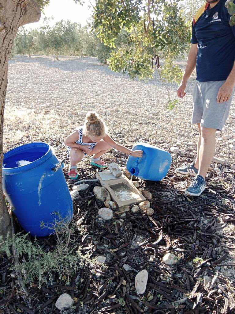 Esta futura cazadora de #Montemayor también arrima el hombro cuando se trata de mejorar hábitats y ayudar a la fauna a luchar contra la sequía y el calor‼️

Ayudando a su padre aprende que la caza es un recurso renovable. Ésta es #LaVerdadDeLaCaza