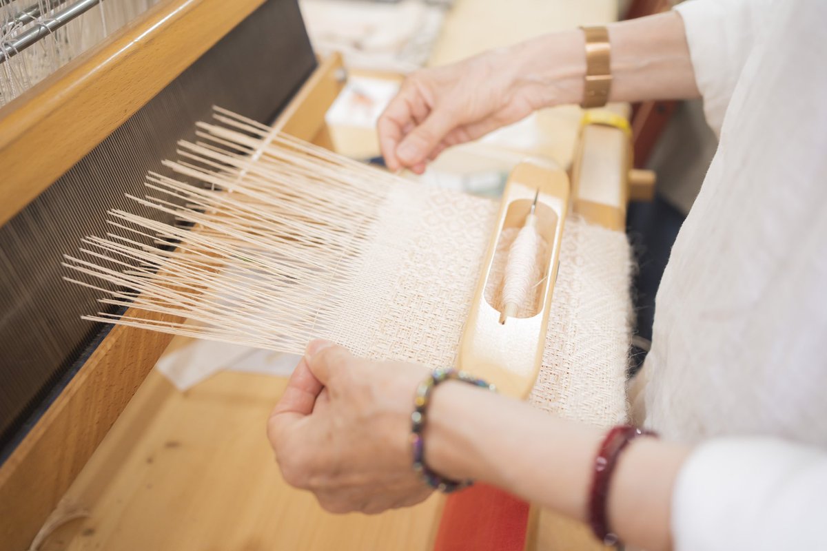 rita roig tweet media