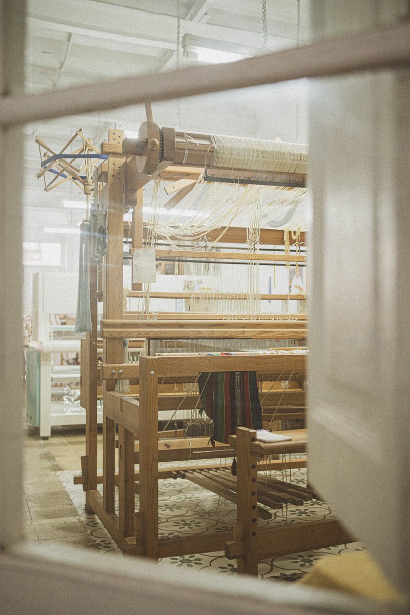 rita roig tweet media