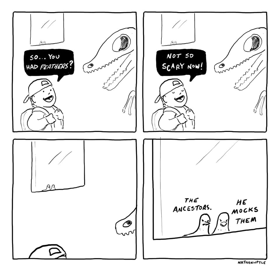 ChrysCymri's tweet photo. I wonder what my parrot would say... https://t.co/4r6ps4dvQe