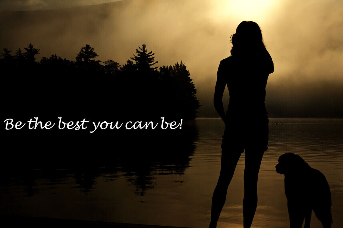 KudosDreamLab's tweet image. 