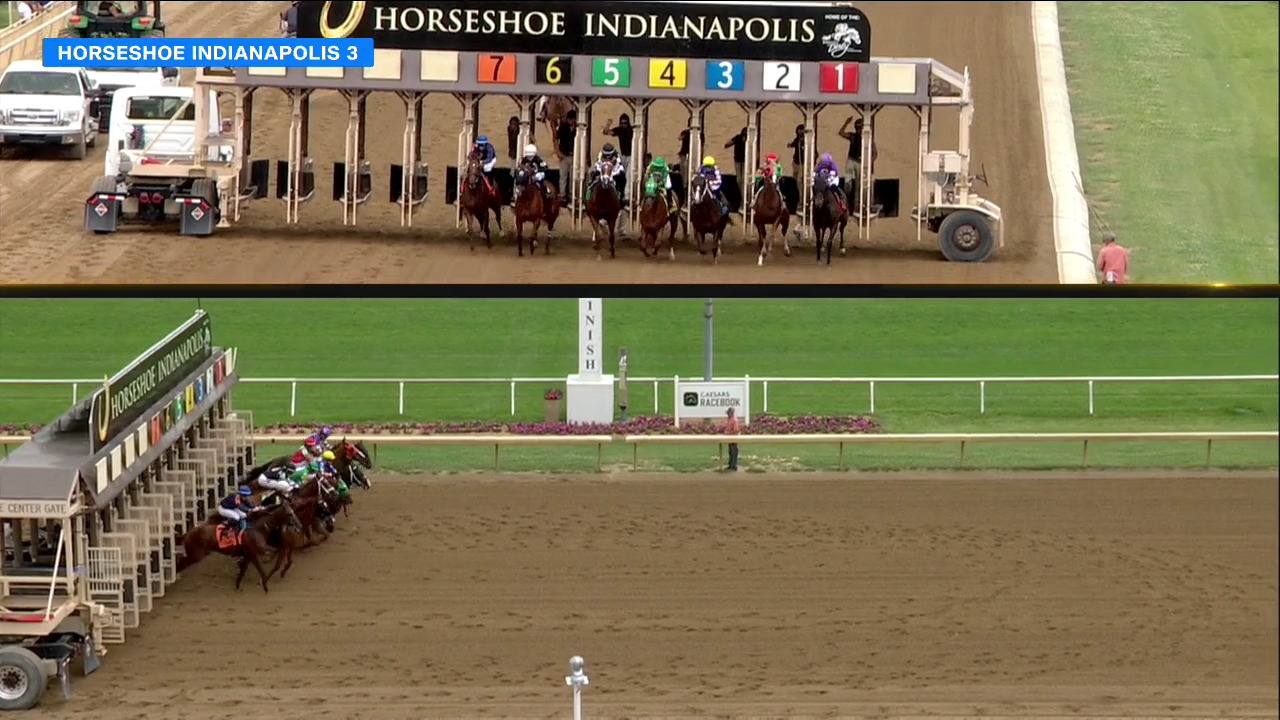 TVG on Twitter "7 TAKE THE CHARGE (8.80) under decky_cann pulls