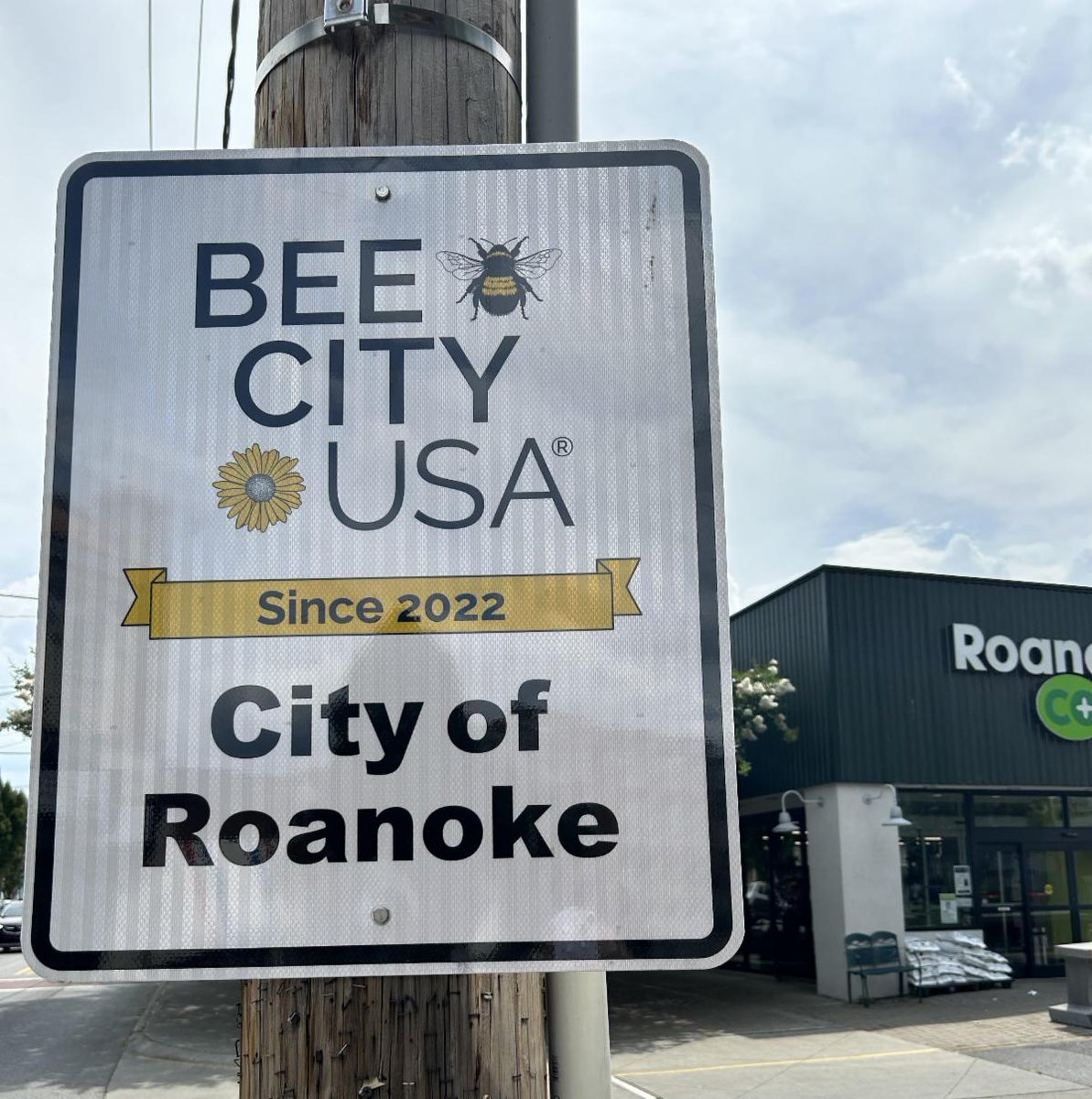 CleanValley's tweet image. Could we *BEE* any more excited about the new Bee City signs!? Have you seen them around the city? Our staff spotted them on Plantation Road, near Vic Thomas Park, and this one here that is next to our offices in Grandin. 🐝🐝