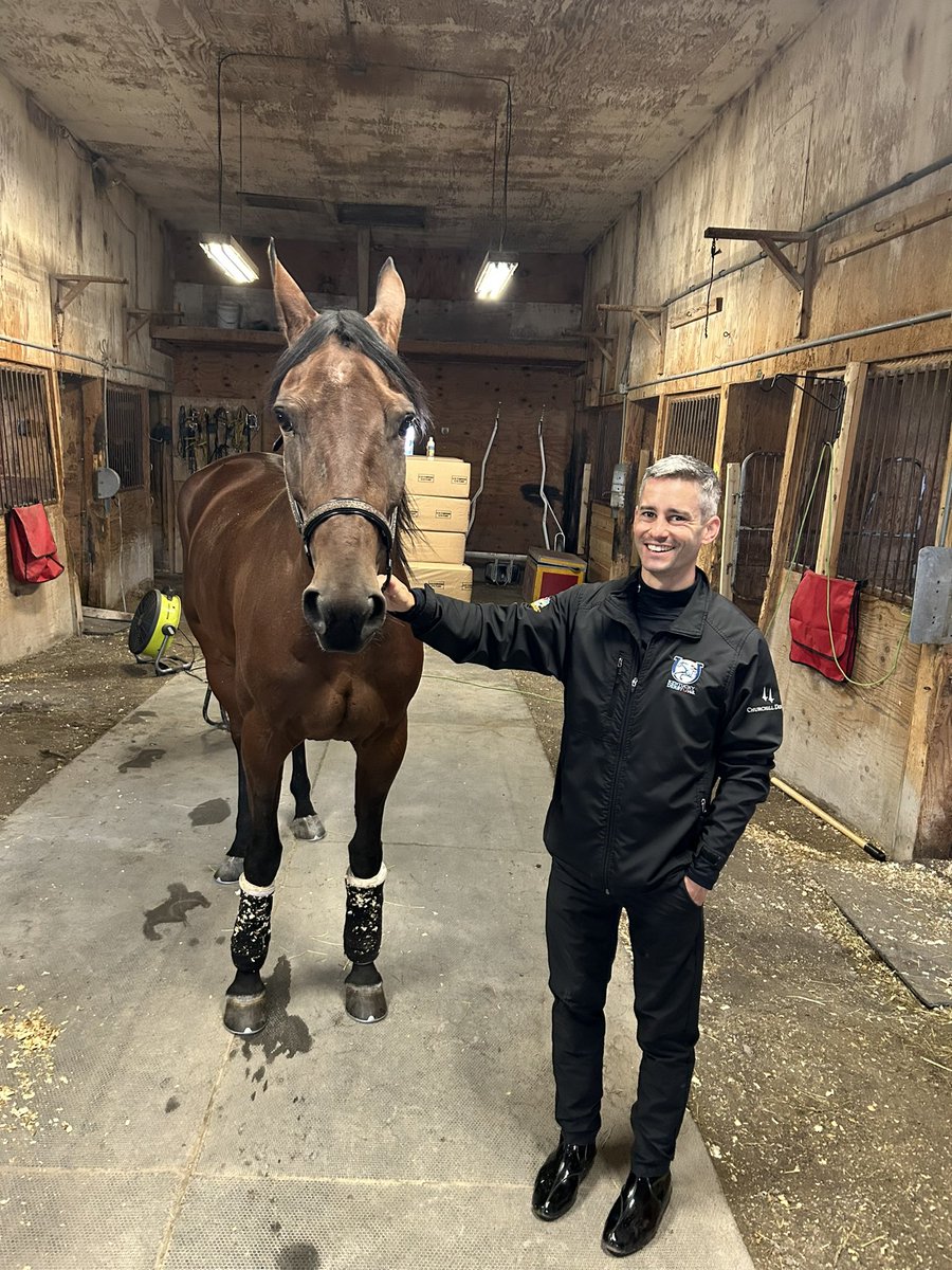 Little Honey Badger with Co-owner  Flavien Prat this morning!
Sadly the other partner @marymcdermott15 had work this morning…. Sorry Mary 😂😎🏇🏿 #saratogaharness #saratogaracecourse #summermeet