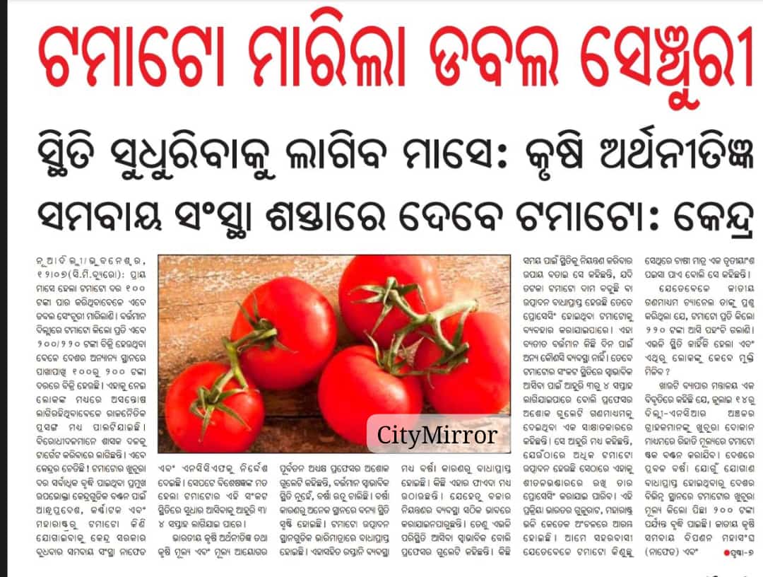 #ଟମାଟୋ ମାରିଲା ଡବଲ ସେଞ୍ଚୁରୀ
ମାସେ ଯାଏଁ ସ୍ଥିତି ସୁଧୁରିବନି : #ଅଶୋକ_ଗୁଲେଟି
#କେନ୍ଦ୍ର ଶସ୍ତାରେ ଦବ ଟମାଟୋ

#TomatoPriceHike #Odisha #NEWS @CityMirror