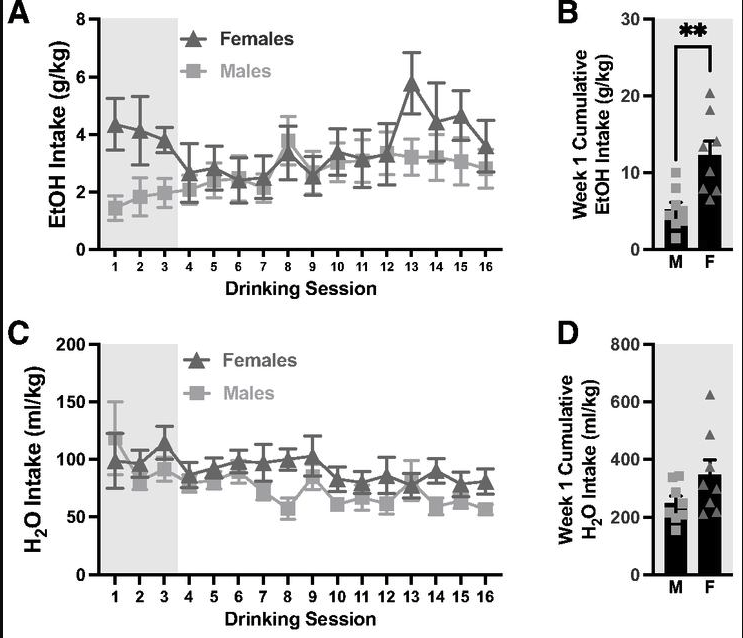 superrsema's tweet photo. next, half the animals were allowed to voluntarily drink 20% ethanol under the #IA2BC model where they drank ~3g/kg EtOH.
What surprised us was that females drank more EtOH than males, but this only occured in the first week!!
3/n https://t.co/0VVBObyH1I