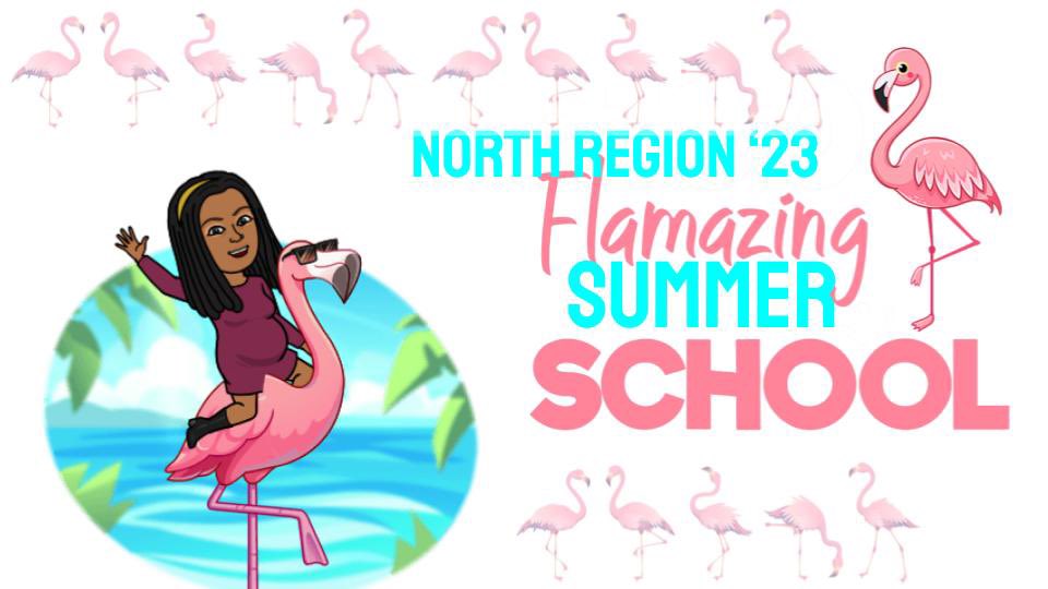 …and just like that Summer Programs FY23 have concluded…a special thank you to the awesome North Region Site Administrators and staff it was a pleasure working alongside you #flamazing folk 🦩