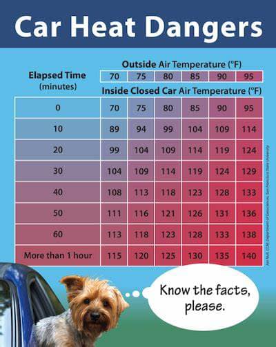 MassStatePolice's tweet photo. A pet in a parked car, even w/windows open, can quickly overheat &amp; die on a warm day. If you see an animal in distress call 911 &amp; try to find the owner. If you can't find owner &amp; pet is in bad condition, the law allows you to break window or make entry to save the pet's life. https://t.co/3sGXeJI99q