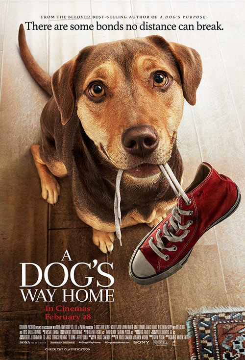 619Sniper619's tweet photo. #ADogsWayHome
2019 ‧ Family/Adventure ‧ 1h 37m

#ස්නයිපර්බැලූචිත්‍රපටි
#ස්නයිපර්බැලූටෙලි https://t.co/qaBSL6v3mG