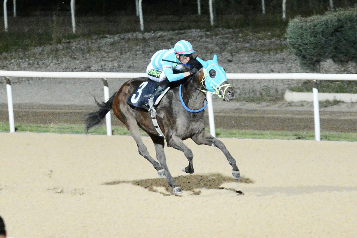 ÇOK ŞÜKÜR Yine Yeniden PRENSS HALLO 💙🩶
<a href="/Abdulisildakk/">Abdül Işıldak</a> <a href="/MustafaAtal01/">Mustafa Atal</a>