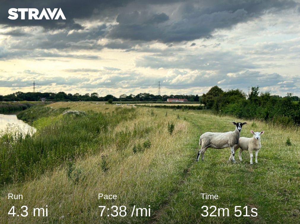 LittleJoeRunner's tweet image. Back to back training runs in a week….that’s the first time in a long time that’s happened.