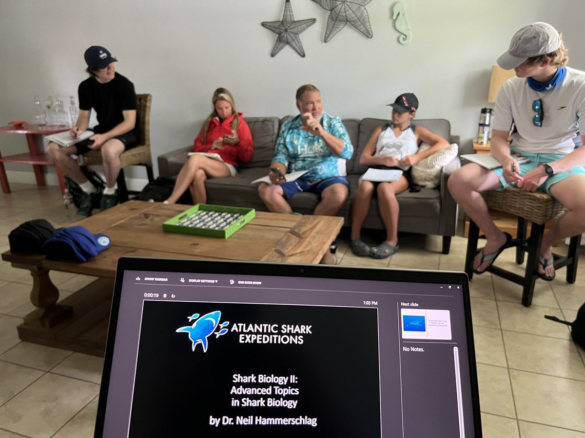 Atl_Shark_Exp's tweet photo. Shark Biology II Expedition off #Florida in full swing: first lectures then #shark diving //

https://t.co/Ww5ZOMKN0m https://t.co/jdkTqohEAw