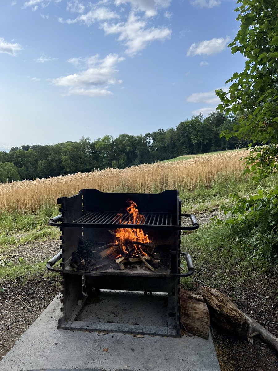 SJZ #RipEmber + Silver 🐶🐺🌈 tweet media