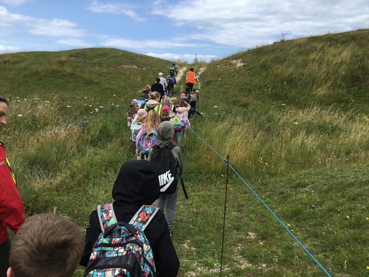 Reepham Primary School tweet media