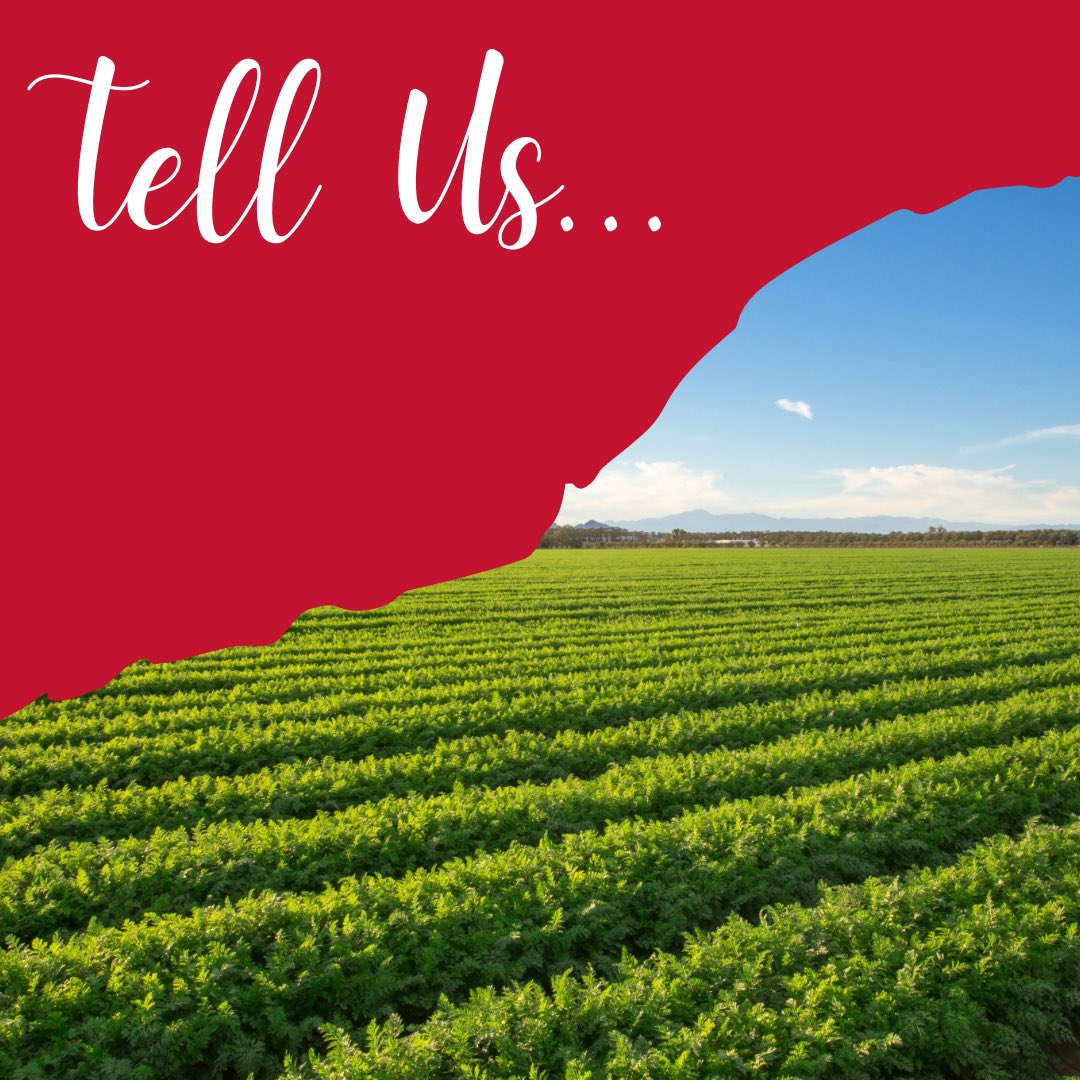 Tell Us…what kind of posts you want to see! Reply and let us know