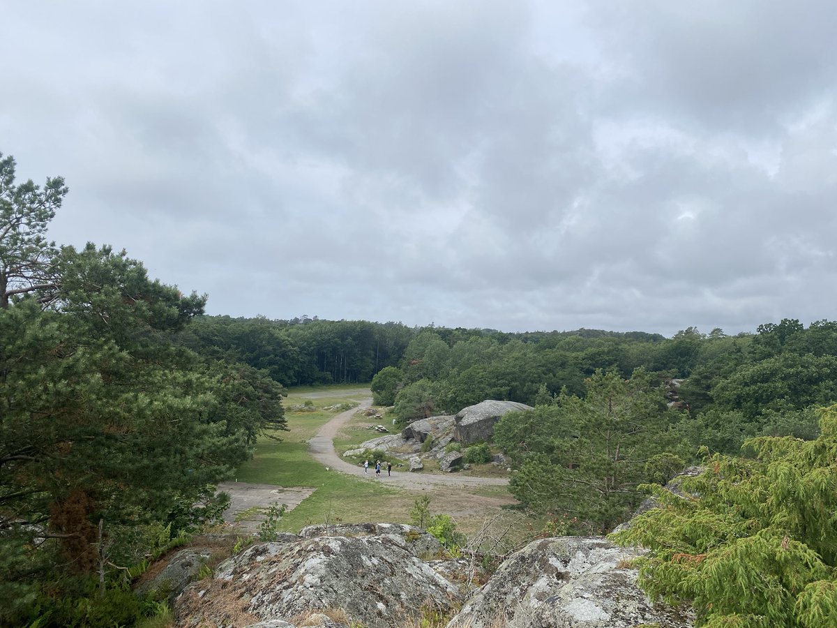 sdaniels009's tweet image. As you can see.. I have decided to take the #pathlesstraveled