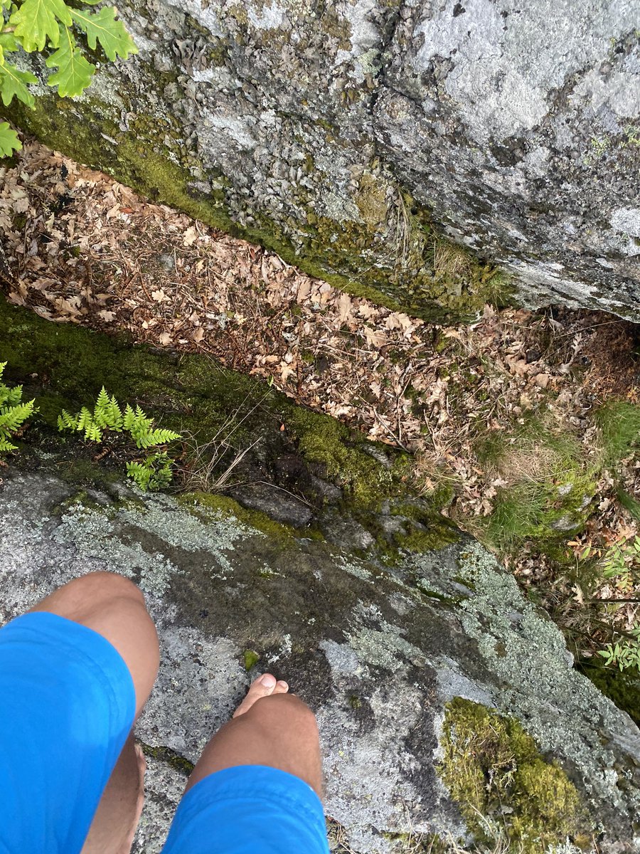 sdaniels009's tweet image. As you can see.. I have decided to take the #pathlesstraveled