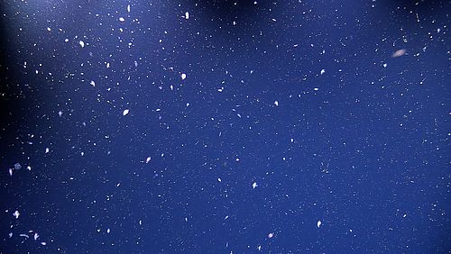 RT @GnothiSea: A heavy snowfall disappears into the sea.
What silence!
Zen saying https://t.co/BeEGYq97gw