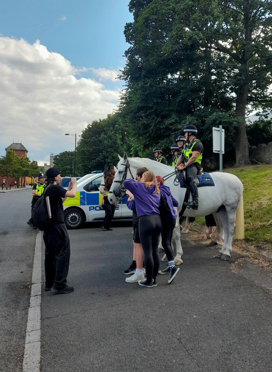 Community Protection North Tyneside Council tweet media