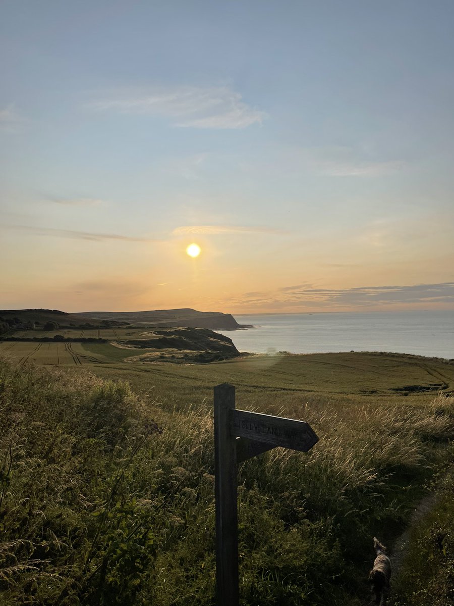 pauljonesking's tweet photo. Absolutely beautiful walk after a long shift @SouthTees the @nationaltrust #clevelandway is a perfect place to reset your #wellbeing #HowAmI https://t.co/HCIRjckdgo