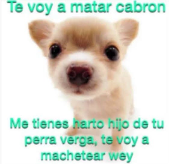 Juan05908473's tweet photo. @mrgraso :v https://t.co/AXYsGBO9GX
