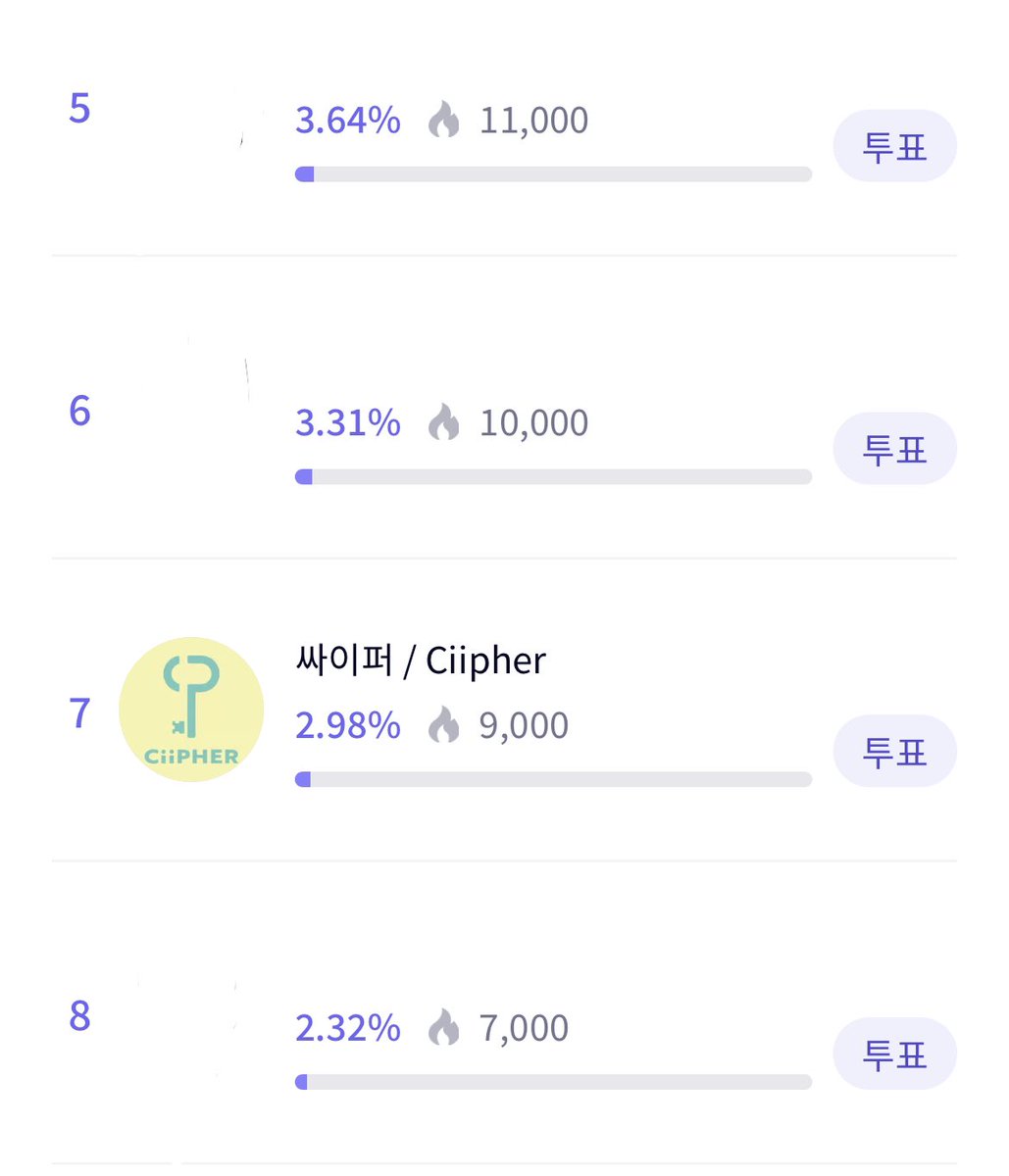 CIIPHER VOTING TEAM tweet media