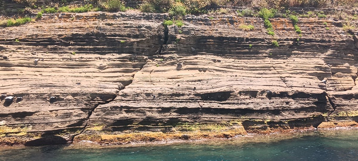 TsunamiSand's tweet photo. #fieldtrip day4(2): Boat trip to #Procida. Remains of 6 #craters make up the island. Tuff deposits built spectacular cliffs. A #breccia with a wild mixture of lithologies (#obsidian, #tuff, #basalt, #lapilli,…) crops out close to the harbor. #CampiFlegrei #Napoli #inquaroma2023 https://t.co/kOYWhfJCY4