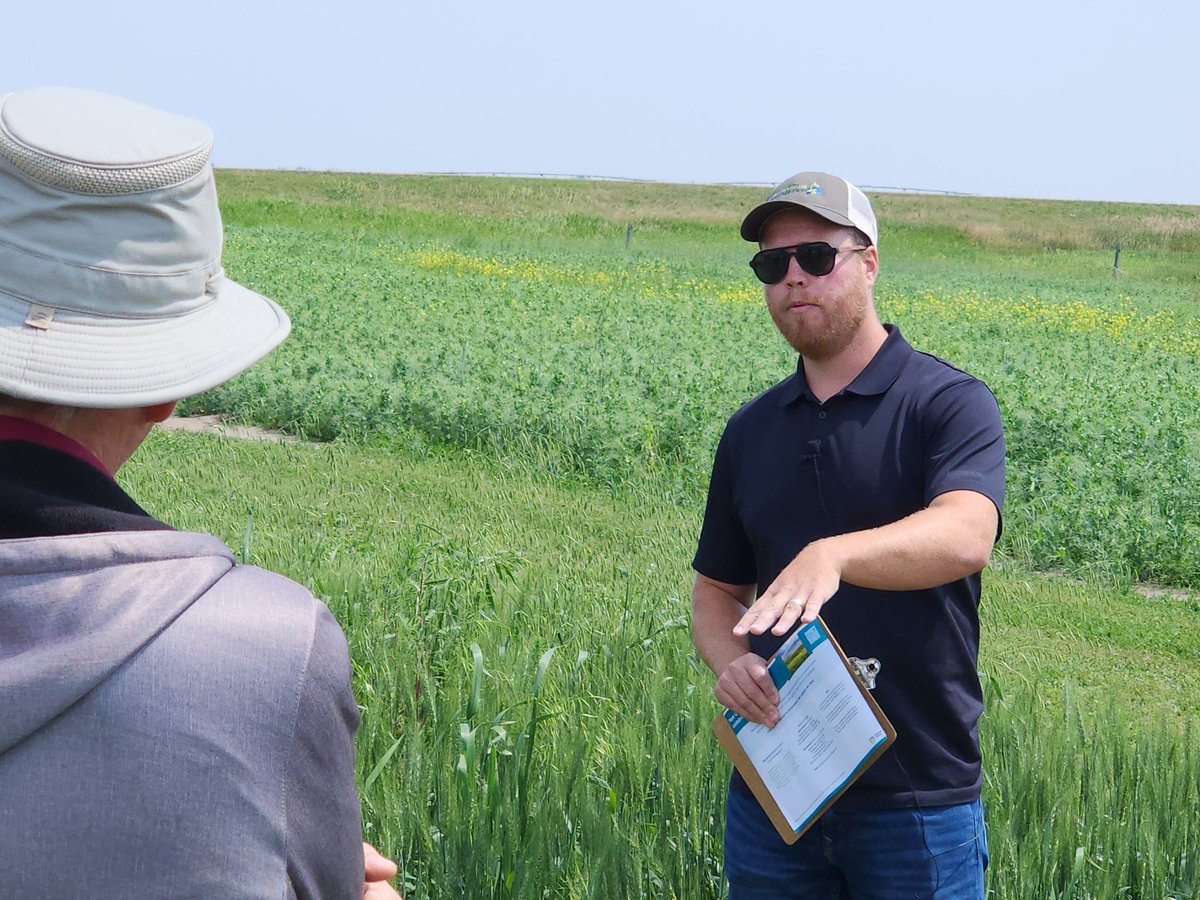 FarmingSmarter's tweet photo. Winter Wheat as an effective tool to combat kochia in Lethbridge? Early research points to YES!
@charlesmgeddes shares surprising data to start our afternoon at #PlotHop23 with huge takeaways! https://t.co/u6h68gUTmk