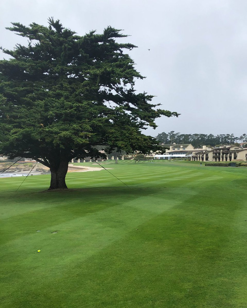 PGA's tweet photo. Now what?! https://t.co/0xxe0md1Xx