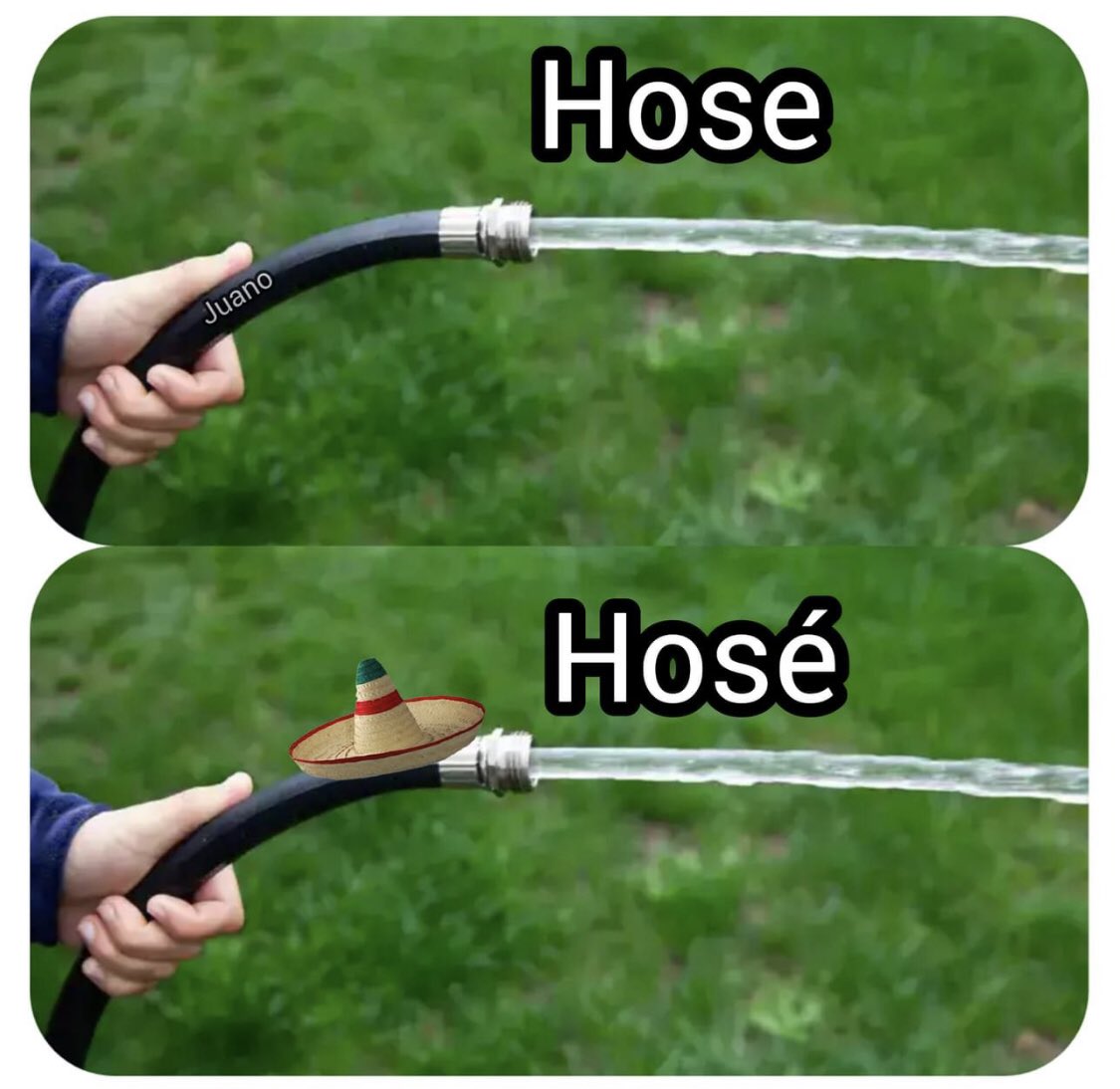 Mally Cook (@cookmally) on Twitter photo 