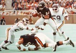 mentalsports's tweet photo. I want to be remembered as the guy who gave his all whenever he was on the field. ~ Walter Payton https://t.co/Y2HhbJq83A