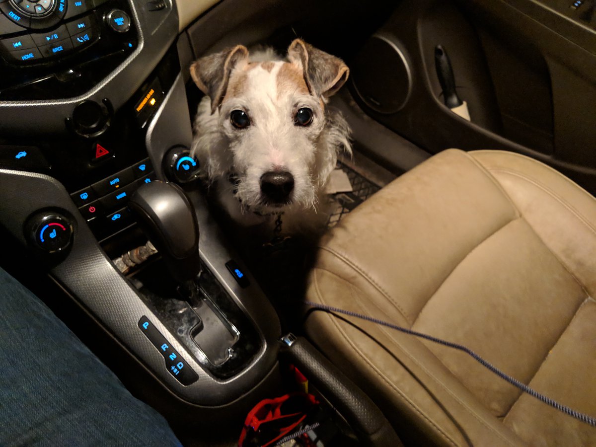 ɯɐɥSɹǝpɐʌuI tweet media