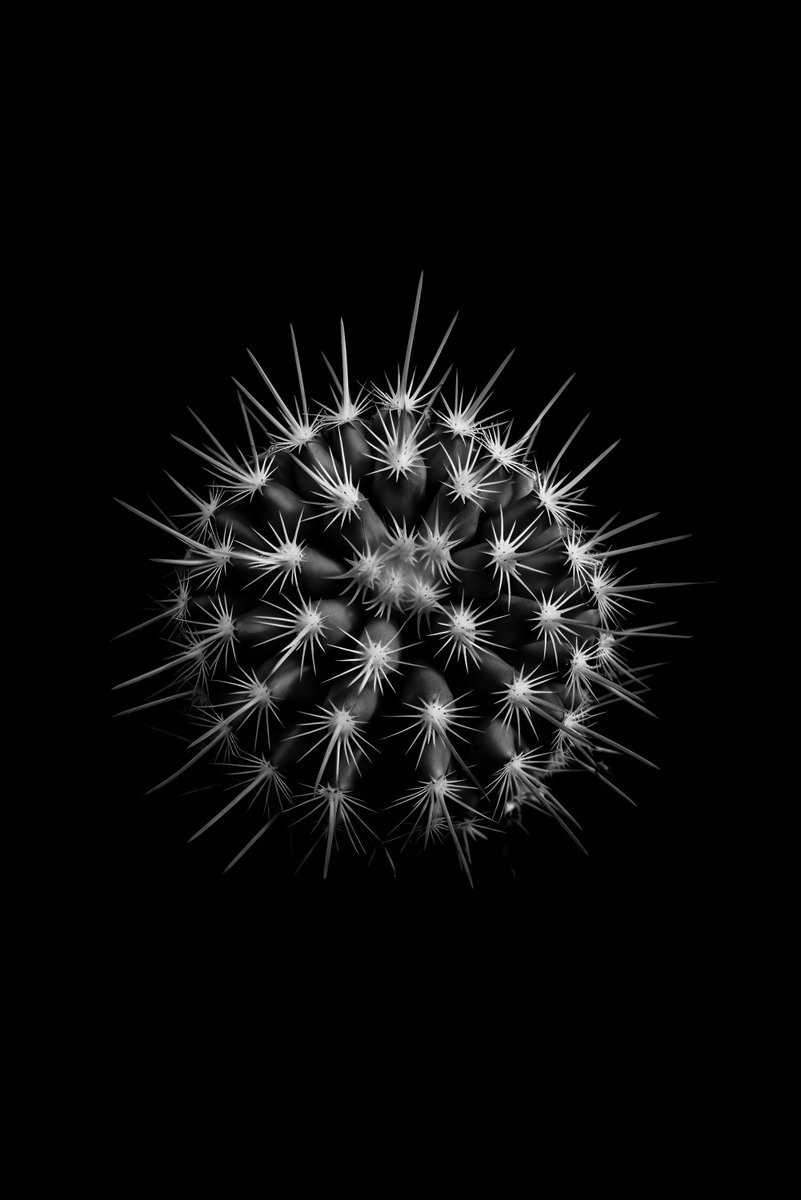 unsplash's tweet photo. By Brazilian Photographer, Allec Gomes, on Unsplash 📸

https://t.co/J9m6tTgoei https://t.co/jIZGUTD0f9