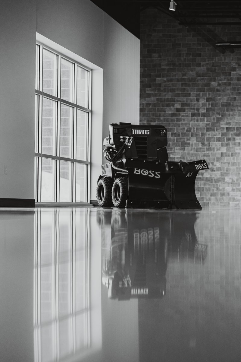 A wolf among sheep. Closer and closer every day. 🌬️ 
#OldManWinter