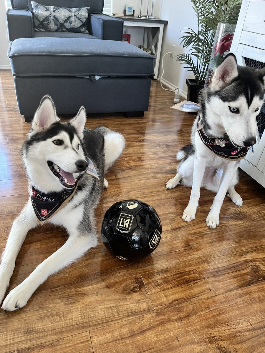 SoccerUSA tweet media