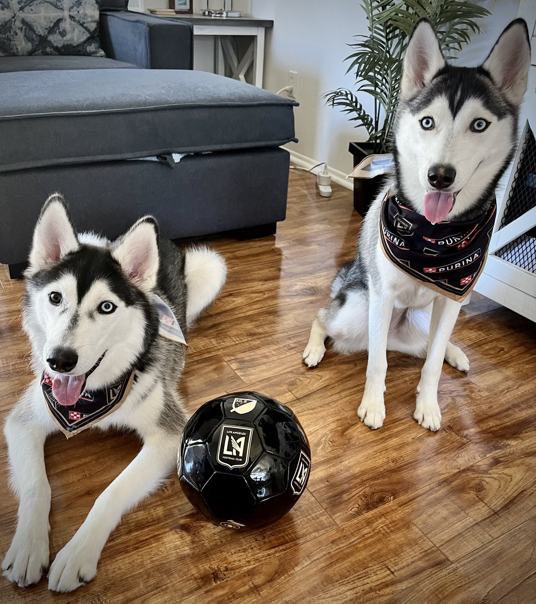 SoccerUSA tweet media