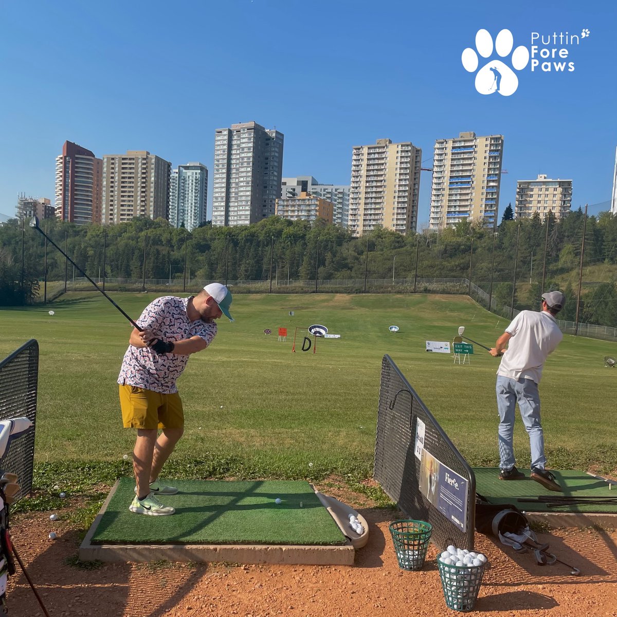 puttinforepaws's tweet photo. Drive, Dine, and Dogs is a perfect opportunity to combine your hobby and a great cause. Join us on Friday, August 25 at Victoria Golf Course Driving Range. 💚🏌️‍

Buy tickets to Drive, Dine, and Dogs to support @EdmontonHumane 

✅Link in our bio https://t.co/mvXJF25Lcz